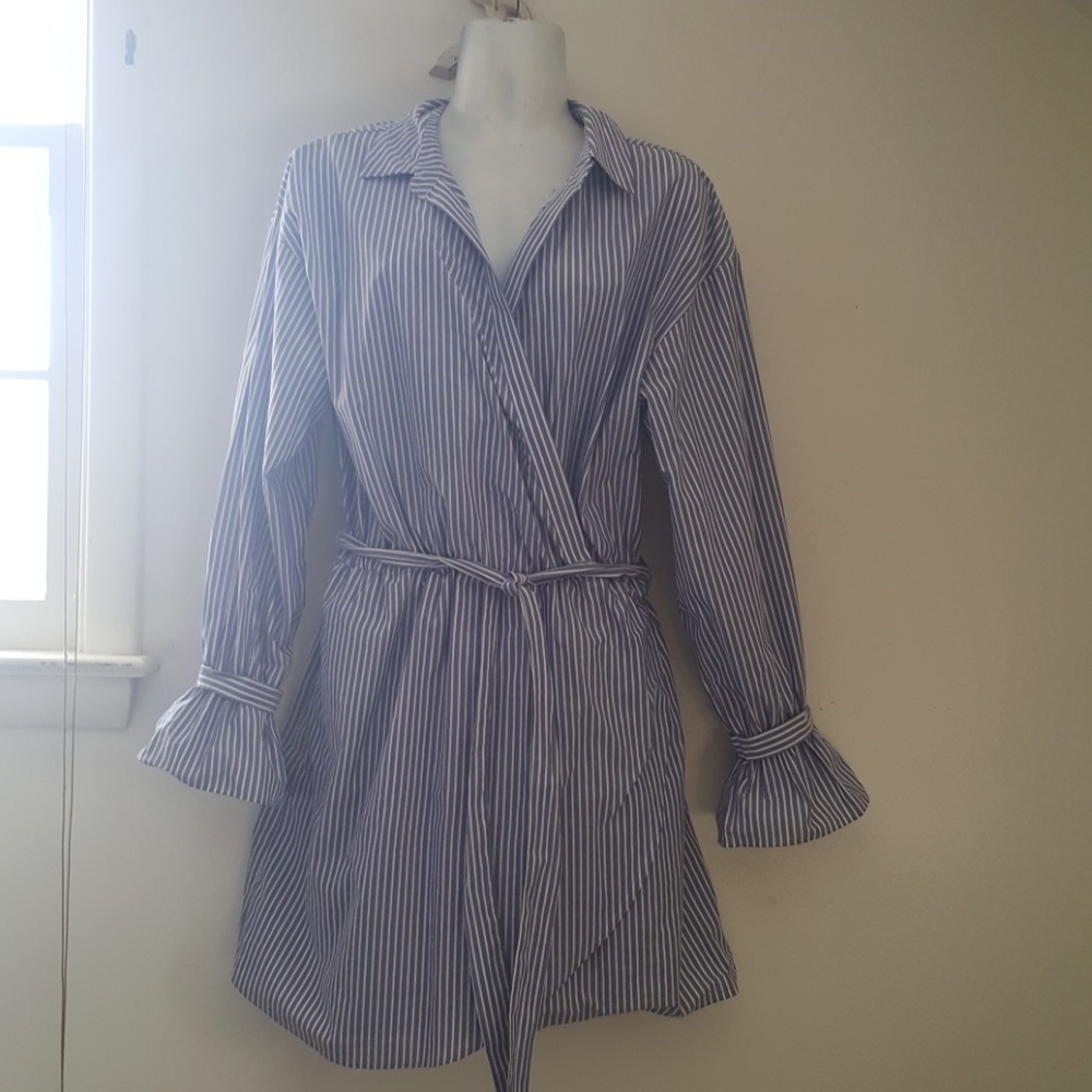 Express shirt dress
